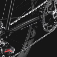 Grupo Campagnolo 80 Aniversario