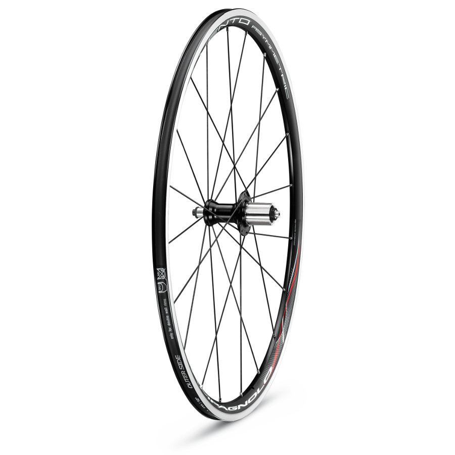 Campagnolo Vento Asymmetric