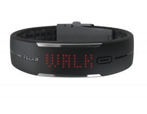 Polar Loop