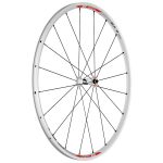 DT Swiss RR 21 Dicut white