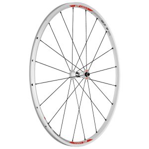DT Swiss RR 21 Dicut white