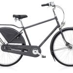 Electra Amsterdam Royal 8i