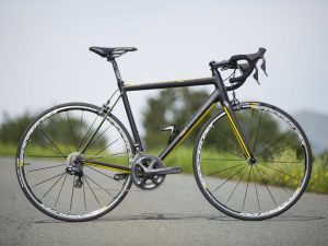 rose xeon rs