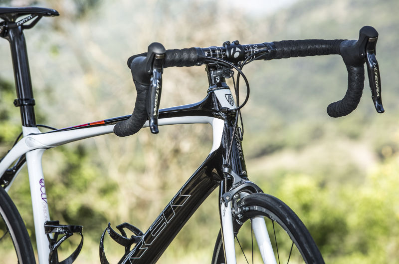 Trek Domane 6 Series