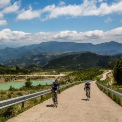 Transpyr Road 2015