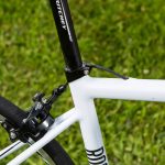 Rose Pro SL 1