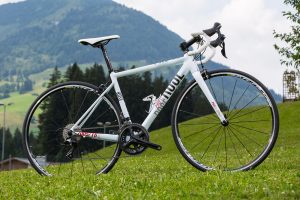 Rose Pro SL