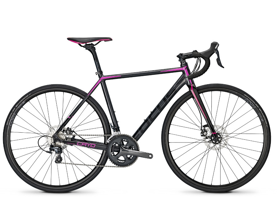 Focus Cayo Al Disc Donna