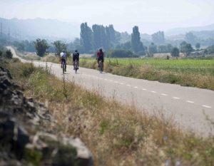 Bikefriendly Golpe Pedal