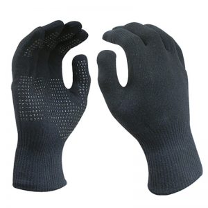 Sealskinz gloves