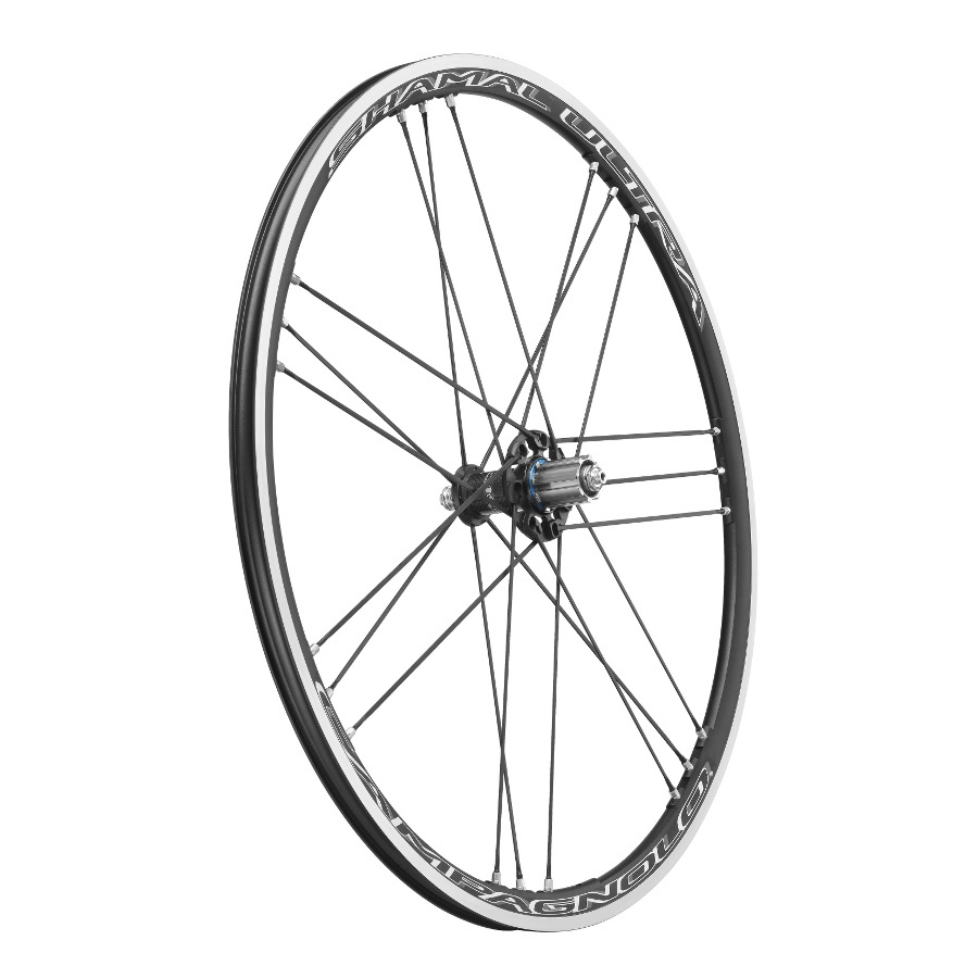 Campagnolo Shamal Ultra C17 trasera