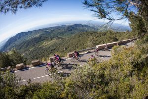 Gran Fondo Mussara 2016