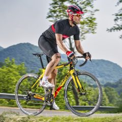 Wilier GTR