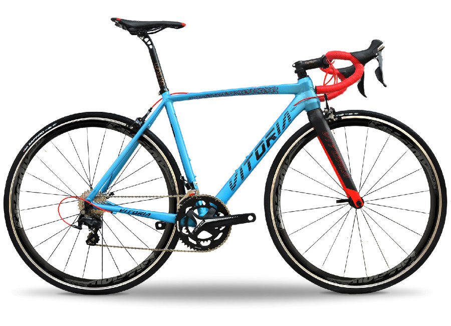 Bicicleta gravel Vitoria Nyxtraligh