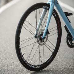 Ruedas Campagnolo Bora One DB