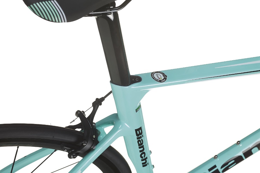 Bianchi Aria frame