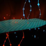 Polartec Delta fabric