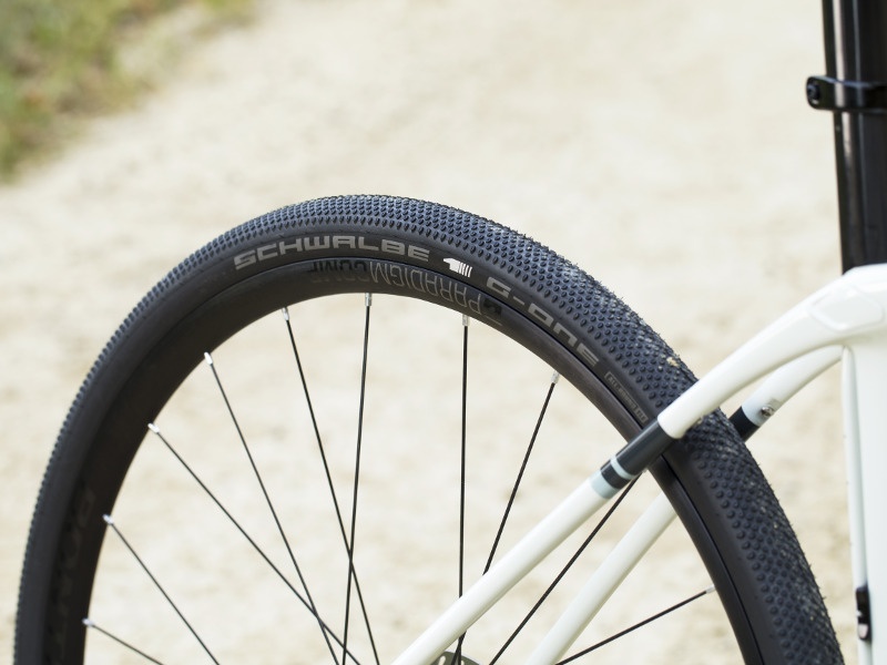 Trek Domane Gravel