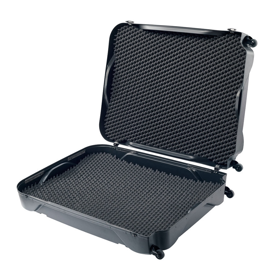 Cruz Bike Case 2