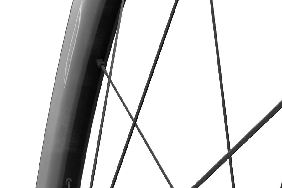 Campagnolo Bora WTO radios