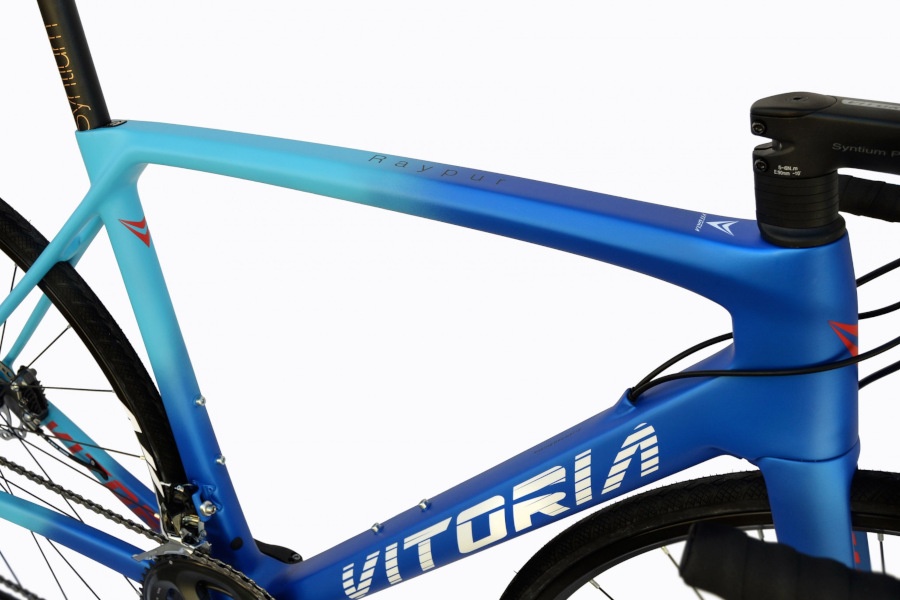 Vitoria Raypur Racing Disc 2019