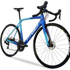 Vitoria Raypur Racing Disc