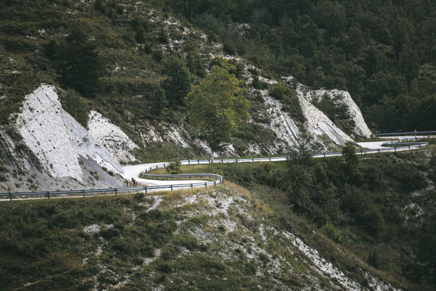 The Escape Scott Sports