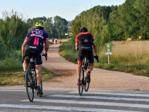 Gravel Sea Otter Europe