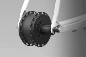 Orbea Gain Carbon buje