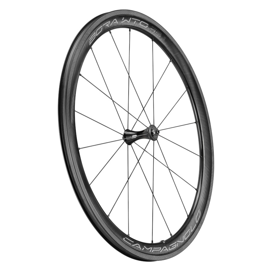 Campagnolo Bora WTO 45 ruedas