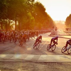 Resumen de la temporada ciclista 2019