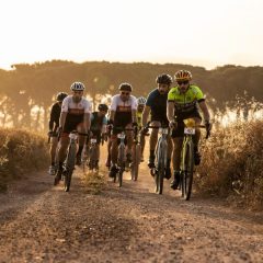 Canyon Pirinexus Challenge