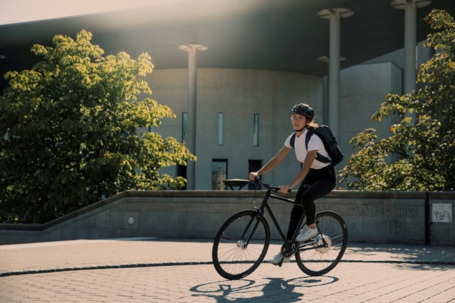 Fixie Inc Backspin Zehus city