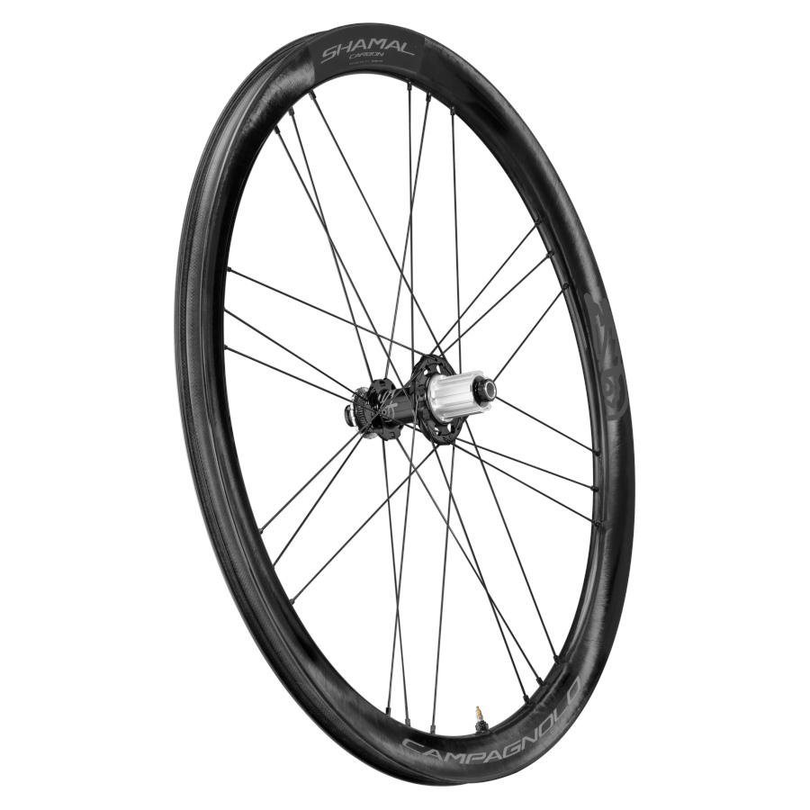 Campagnolo Shamal Carbon DB trasera