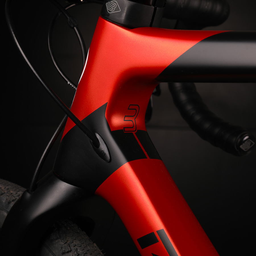 Basso Palta frame
