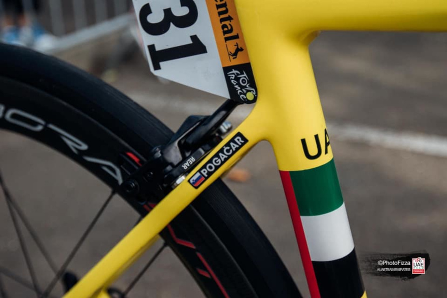 Pogacar Campagnolo