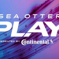 Sea Otter Play