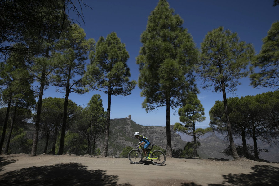 Transgrancanaria Bike Fred Olsen Express