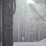 Pico de las Nieves