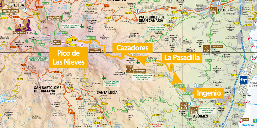 Pico de las Nieves Mapa