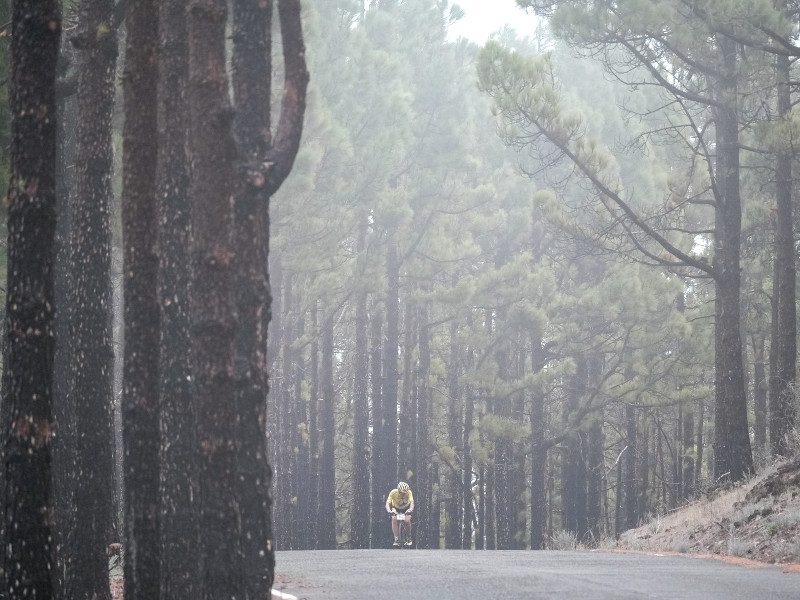 Pico de las Nieves