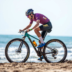 BeeHi Lee Cougan Factory Team