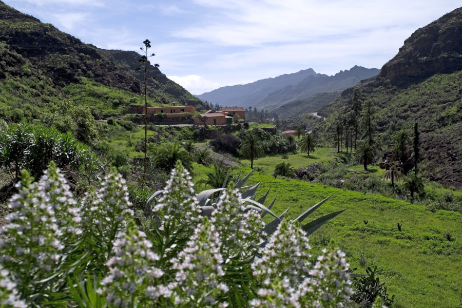 Naturaleza Gran Canaria