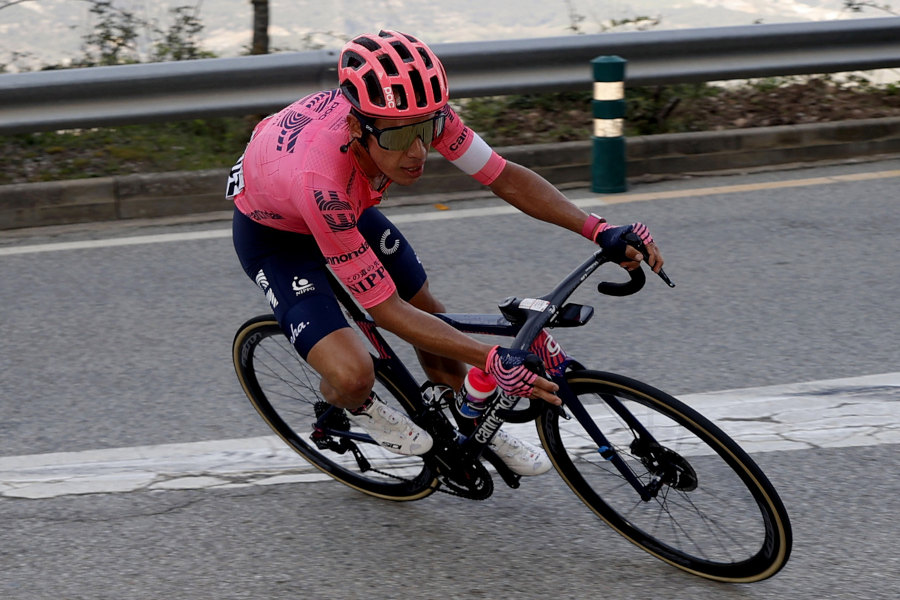 Vision Metron EF Education-Nippo