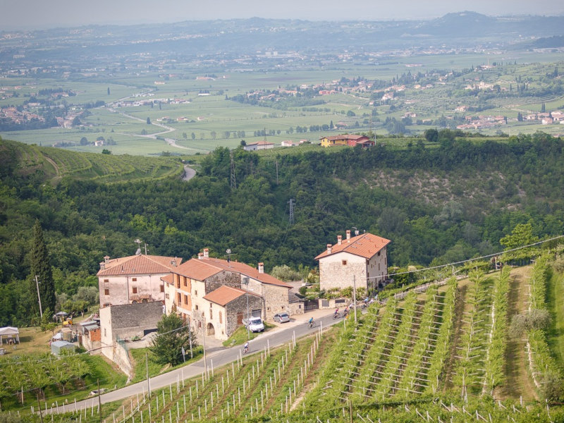 Alé La Merckx Granfondo Verona 2021