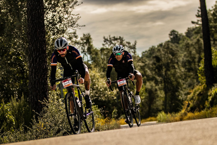 Continental CicloBrava