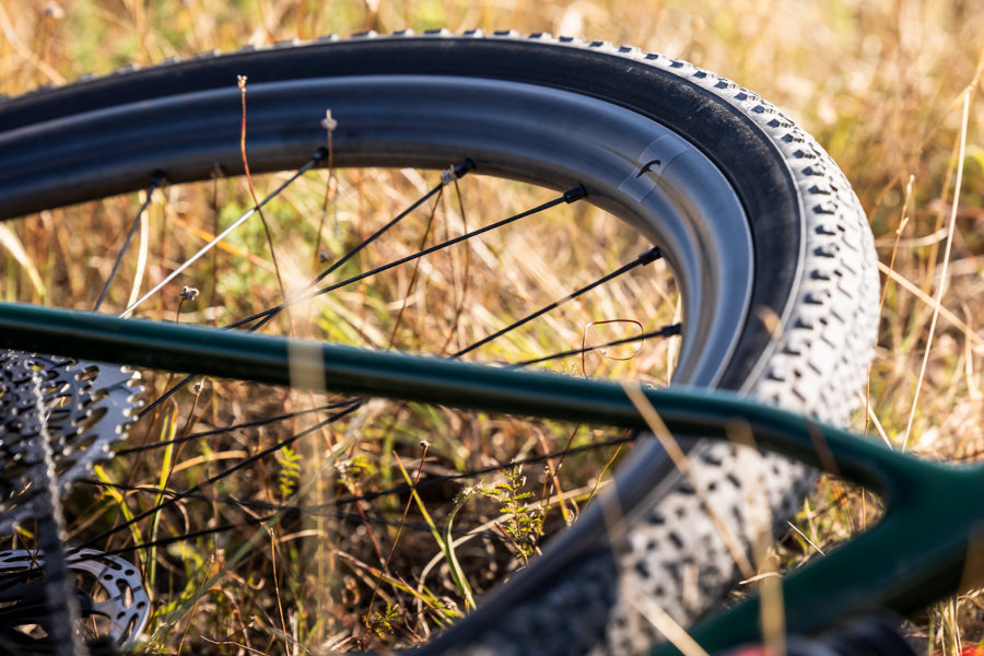 Fulcrum Rapid Red Carbon ruedas