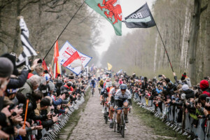 Paris-Roubaix cobbles
