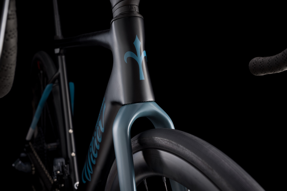 Wilier Rave SLR Road fork
