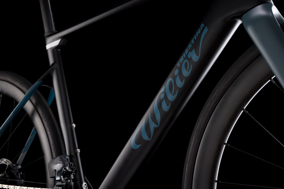 Wilier Rave SLR Road frame